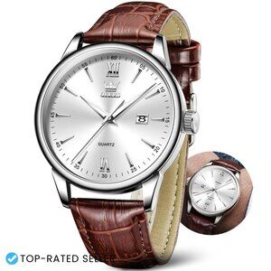 Classic Leather Band Watch Big Face Roman Numerals Day Date Waterproof Men's